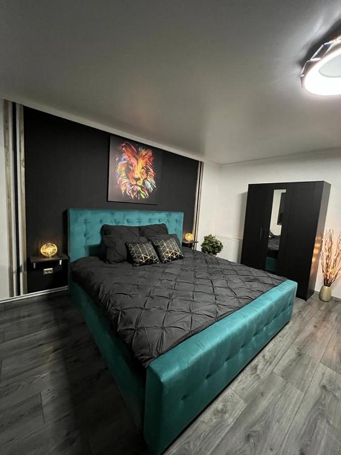 Luxor Ultra-Central Apartments Sibiu Buitenkant foto
